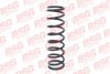 FORD 1124071 Coil Spring